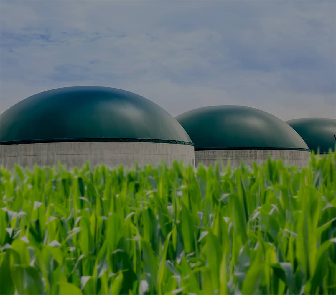 Biogas Plant Automation